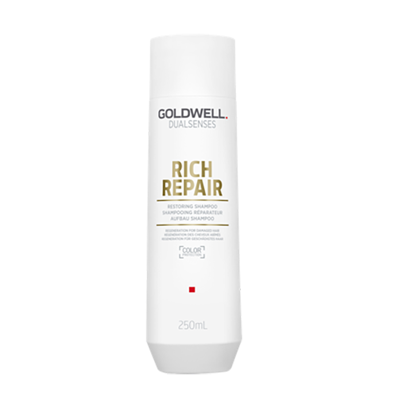 GW DS Rich Repair Shampoo 250ml